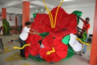 Digicel Flower Costume